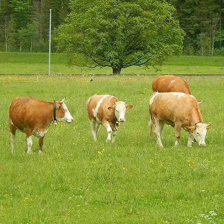 Ferienwohnung Kalchofen Boltigen
